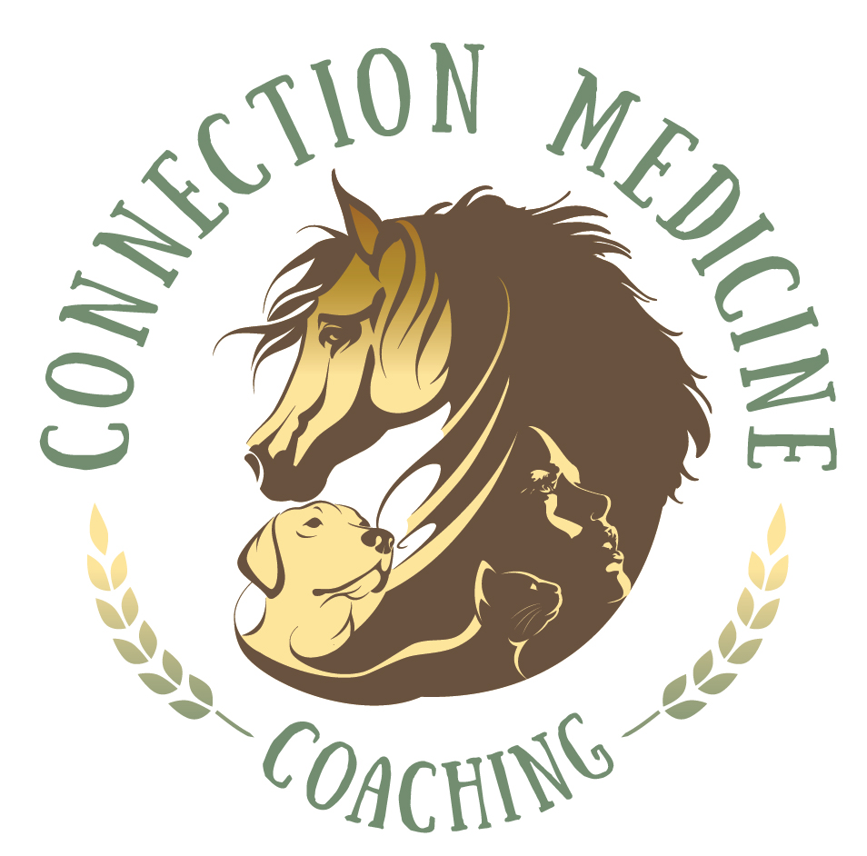 Connection Medicine Coaching Logo
