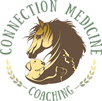 Connection Medicine Coaching